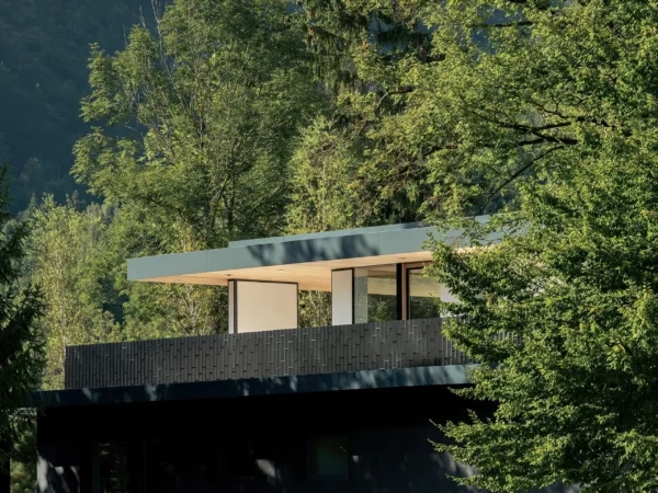 House Ad Trost Krapez Architecture 1 - Catalano
