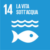 La vita sott’acqua 75,25%